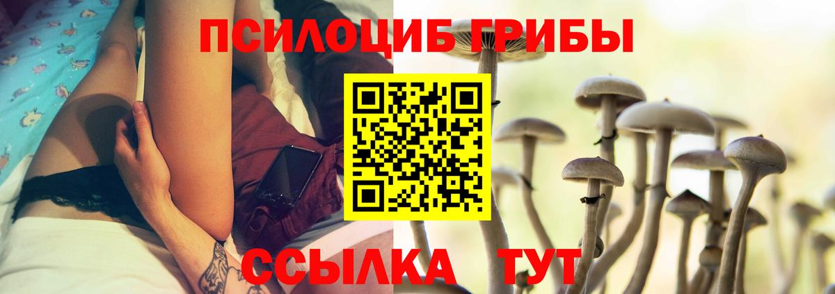 Долгопрудный  купить закладку  Псилоцибиновые грибы прущие грибы  Вход с VPN  Псилоцибиновые грибы прущие грибы 